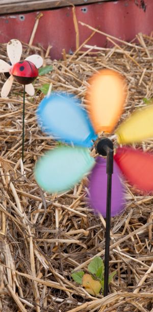 EcoGardenKNC 10web EcoGardenKNC 10web