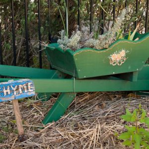 gardenwheelweb gardenwheelweb